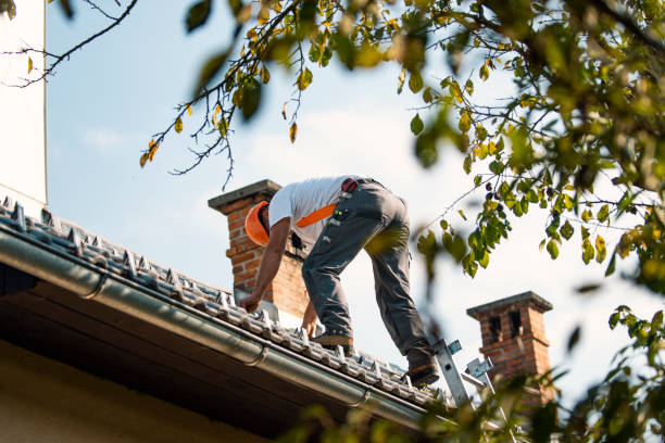 Best Metal Roofing Contractor  in Hope, IN